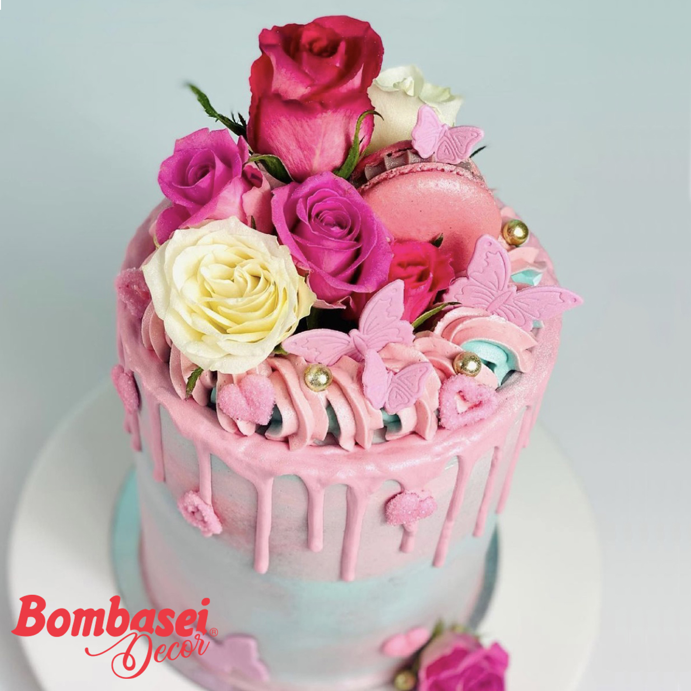 Schmetterlinge groß